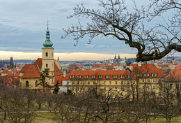 Прага / Вид на Прагу от холма Петршинской башни
