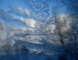Ледяная фантазия / зимние узоры на окне