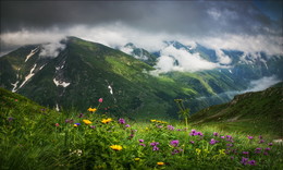Лето в горах / Зап. Кавказ
