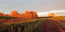 В лучах солнца / ***