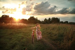 В лучах солнца / старый велосипед