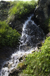 В лучах солнца / Кавказ. Ручей