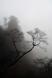 Atmos / Туман в горах Хуаншань