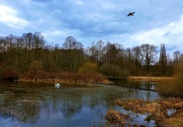 Außenmühlenteich / Außenmühlenteich Hamburg Harburg