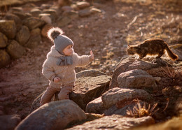 Друзья / мальчик играет с котом