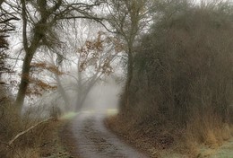 Дорога в туман / Зарисовка погоды в январе .
