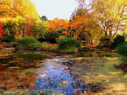 Herbst in Loki Schmidt Garten / Гамбург. Осень в Ботаническом саду