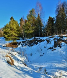 "Еще природа не проснулась ..." / "Еще природа не проснулась,
 Но сквозь редеющего сна
 Весну послышала она
 И ей невольно улыбнулась ..."
 Ф.Тютчев