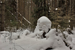 ПРИРОДА ЛУЧШИЙ ХУДОЖНИК / снежные сугробы в лесу