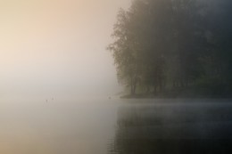 У кромки воды / Майские туманы.