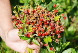 Благодарю. / Благодарю.