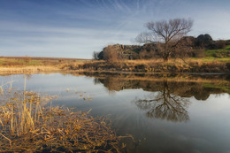 River mirror / The river Mertvovod in early spring