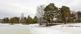 Пасмурно / Не весёлый день
Ещё под снегом
Не оголился пень
Вода на льду
Мокрит ботинки
Чего же ждать
От пасмурной картинки...
