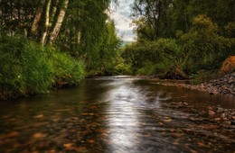 Водяной / Раннее утро