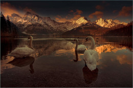 &nbsp; / Morgens am Almsee in Grünau.