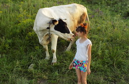 Дай я тебя поцелую... / Корова лизнула щёку дочери хозяйки...