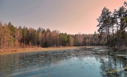 Апрельским вечером на озере / Апрельским вечером на озере Рясник. Лёд только растаял, а ряска уже стала во всю заполнять водную гладь, оправдывая название озера.