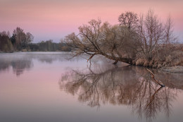 Весенний паводок / Апрельский рассвет на реке Дубна