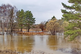 БОЛЬШАЯ ВОДА / ТОМСКАЯ ОБЛАСТЬ