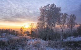 Вечернем свете декабря. / ***