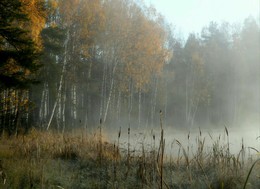 Холодное утро...... / Петербург-Юкки. Октябрь