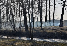 Вроде бы потеплело / день, парк, дым