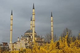 Мечеть Сердце Чечни. Грозный / Больше фото по ссылке: http://steklo-foto.ru/photogellary