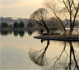 ожидание золотой рыбки / ***