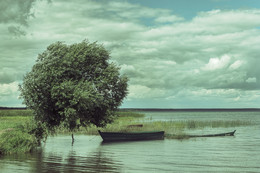Летний ветер / Плещеево озеро, Веськово, Ярославская область.