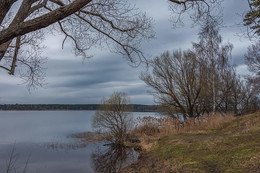 &quot;Из конца в конец апреля...&quot; / Пасмурное апрельское утро на берегу Волги.