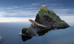 ХАДЖИБЕЙ / одесса