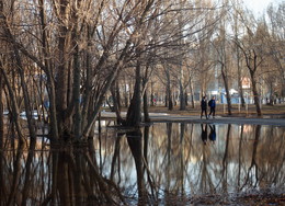Вода, вода, кругом вода / ___________