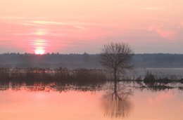 Вода, вода, кругом вода / ***