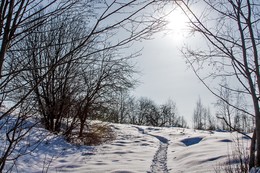 Зимняя зарисовка . / Тропинка домой и на работу .