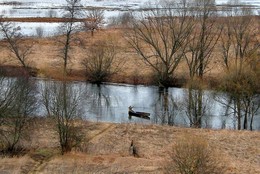 В половодье можно и рыбу половить / В половодье можно и рыбу половить