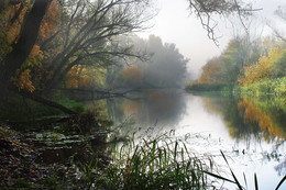 &nbsp; / туман,река,утро