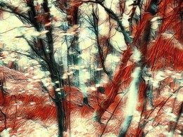 Уход от привычного стиля / Компьютерная обработка моей фотографии