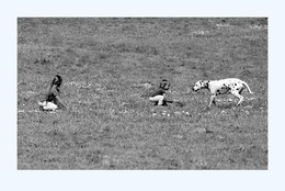 Две девчонки и собака / Две сестрёнки, гуляющие на лужайке в Коломенском, к которым прибежал совершенно посторонний далматин. Май 2018