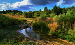 После дождя / Подмосковье