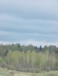 Радонежские просторы / По пути в Абрамцево