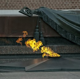 "Это нужно — не мертвым! Это надо — живым!" (c) / Вечный огонь на могила Неизвестного солдата. Москва.