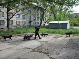 пчлэскрт / @@@