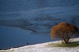 На пороге зимы / На берегу озера в один из первых дней зимы. Землю припорошило легким снежком, а на озере началось образование льда.