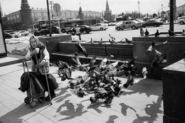 Бабуля и голуби / Москва Охотный ряд