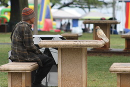 Старики / Бездомный дед и старая птица за столиком в городском парке