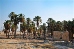 Старые казармы Израиля / По дороге на Мёртвое море