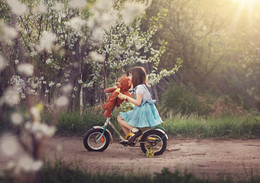 старый велосипед / вишни цветут