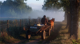 Утреннее молоко / Из фотоиллюстраций к книге об истории села Мнишин Ровненской области.