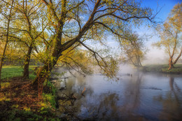 Утро весны / Пейзаж Беларуси