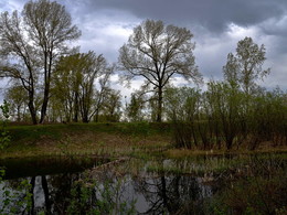 Озерцо / Один из многочисленних внутренних водоемов острова Татышев, Красноярск